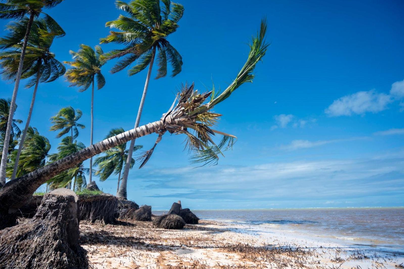 Bangalô Verde Recanto Uaná - 280m praia Tatuamunha Maceió Esterno foto